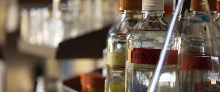 Glassware in a Plant Biology Growroom