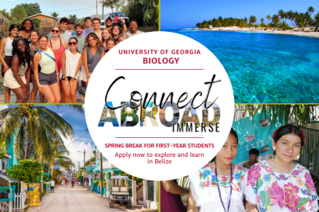 Collage of tropical scenery and students advertising a University of Georgia biology program in Belize. Includes beaches, students, and a local street.