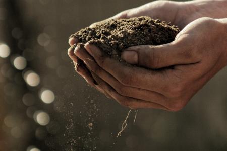 Soil in hands