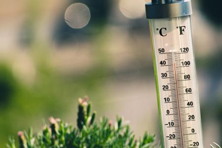 Image of a thermometer and small plant, photo by Jarosław Kwoczała on Unsplash